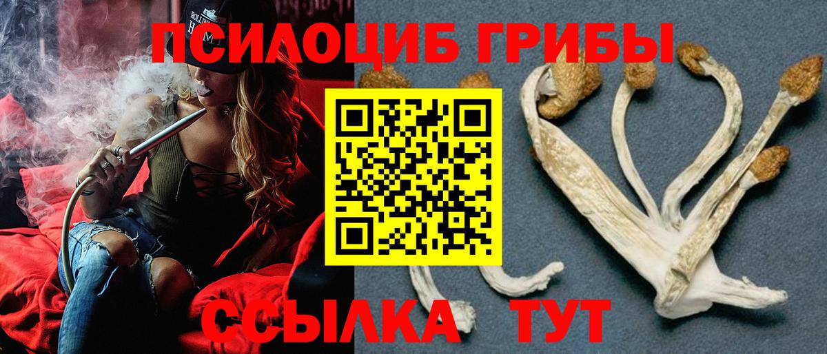 Галлюциногенные грибы Psilocybine cubensis Вольск